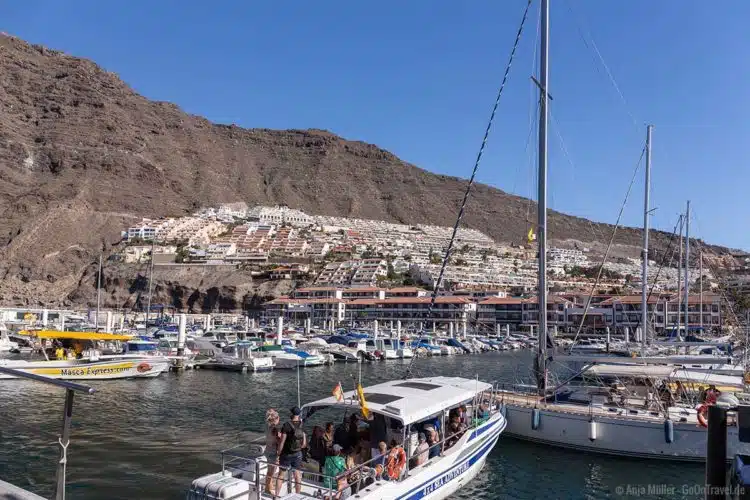 Im Hafen von Los Gigantes mit Whale Watching Teneriffa Ausflugsbooten Im Hafen von Los Gigantes mit Whale Watching Teneriffa Ausflugsbooten