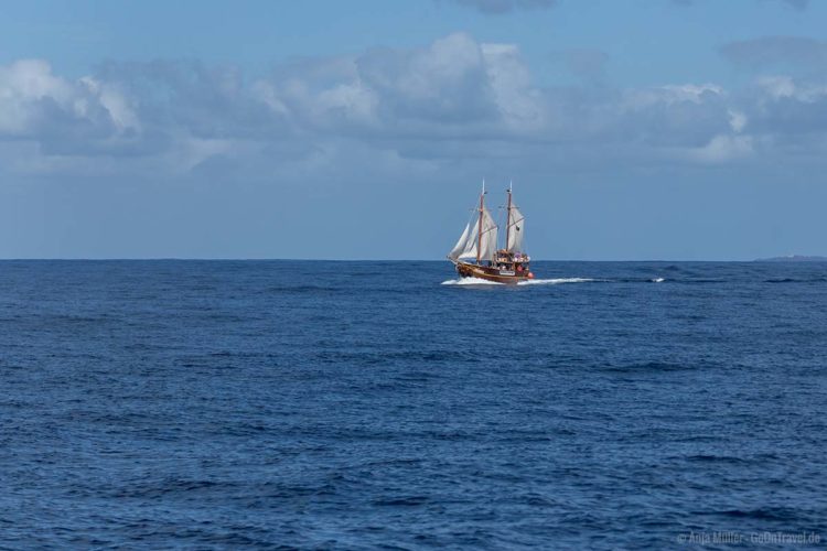 Ein Ausflugsschiff vor der Küste von Teneriffa Ein Ausflugsschiff vor der Küste von Teneriffa