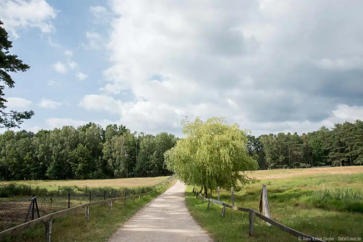 Besucherweg durch den Wildpark Besucherweg durch den Wildpark
