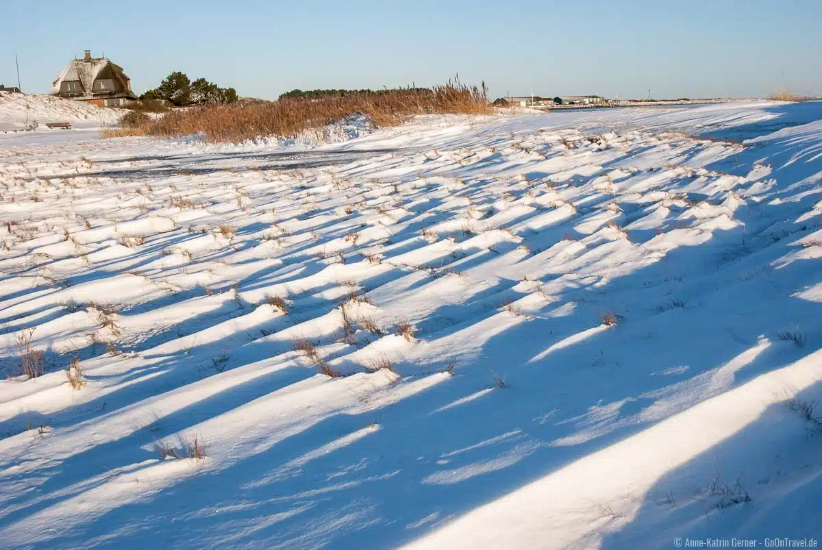 Schnee bedeckte Dünenlandschaften wünschen sich viele zu Silvester auf Sylt