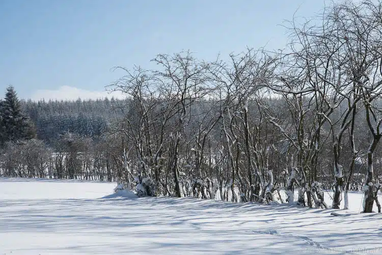 der Winter in den Ardennen von seiner schönsten Seite