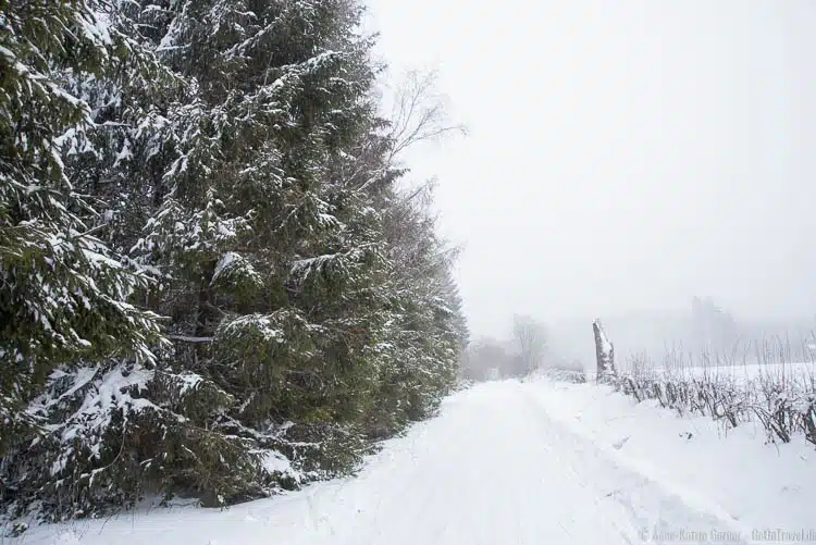 einsame Loipe in den Ardennen einsame Loipe in den Ardennen