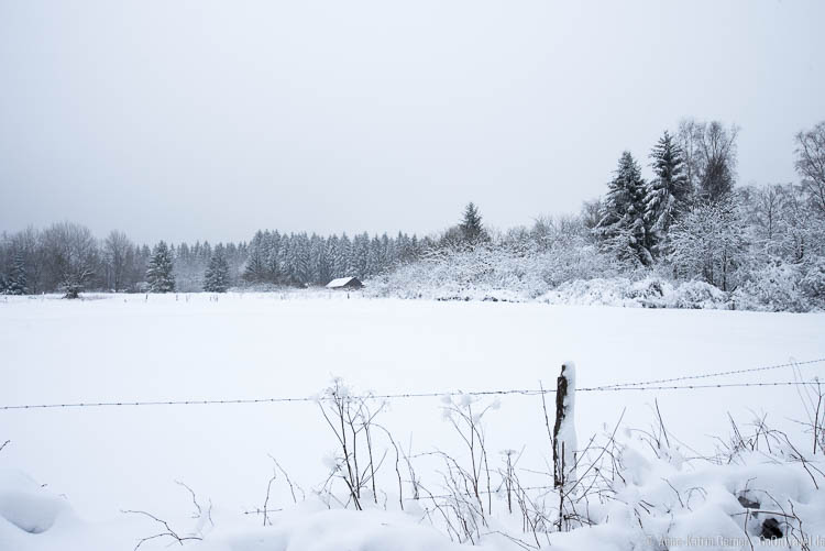 Winter in Hockai Winter in Hockai