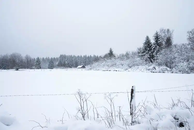 Winter in Hockai Winter in Hockai
