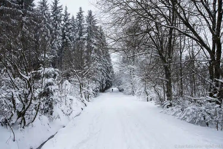 Skilanglaufpiste in Hockai Skilanglaufpiste in Hockai