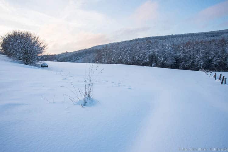 winterliche Abendstimmung in Neuville winterliche Abendstimmung in Neuville