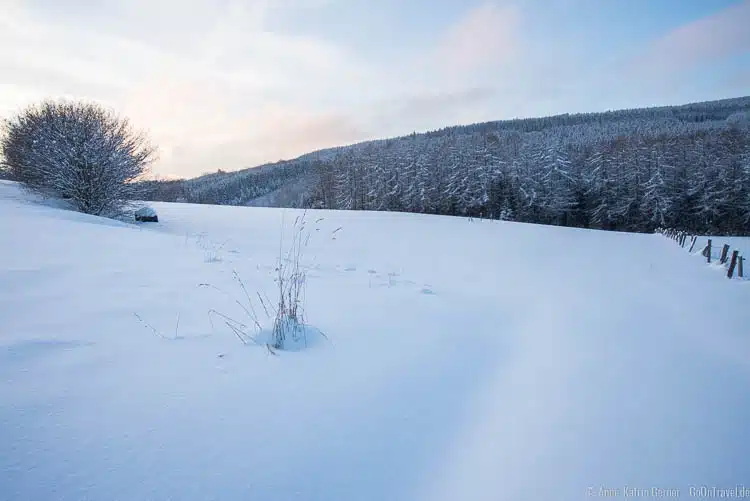 winterliche Abendstimmung in Neuville winterliche Abendstimmung in Neuville