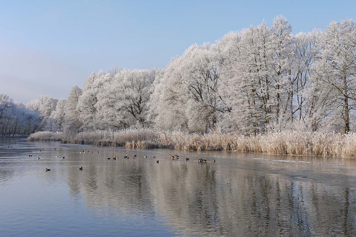 Der Finowkanal ist zu jeder Jahreszeit schön