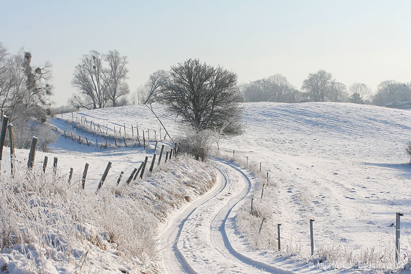 Winterlandschaft in Brandenburg