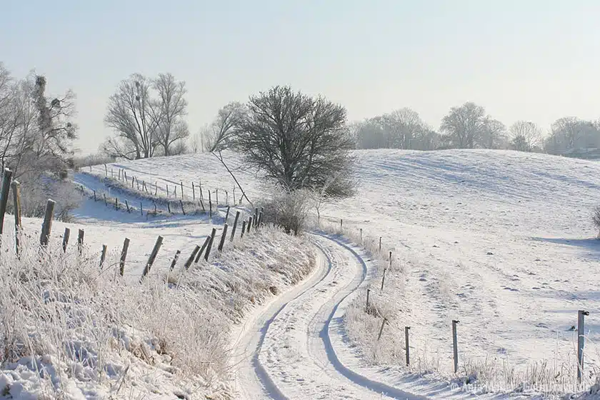 Winterlandschaft in Brandenburg Winterlandschaft in Brandenburg