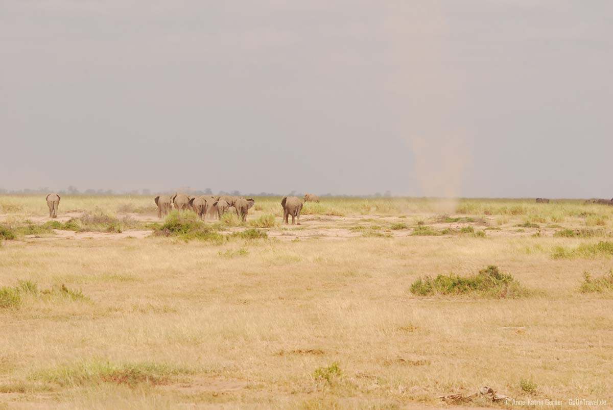 "Dust devil" kommen häufig vor in der Trockenzeit in Amboseli