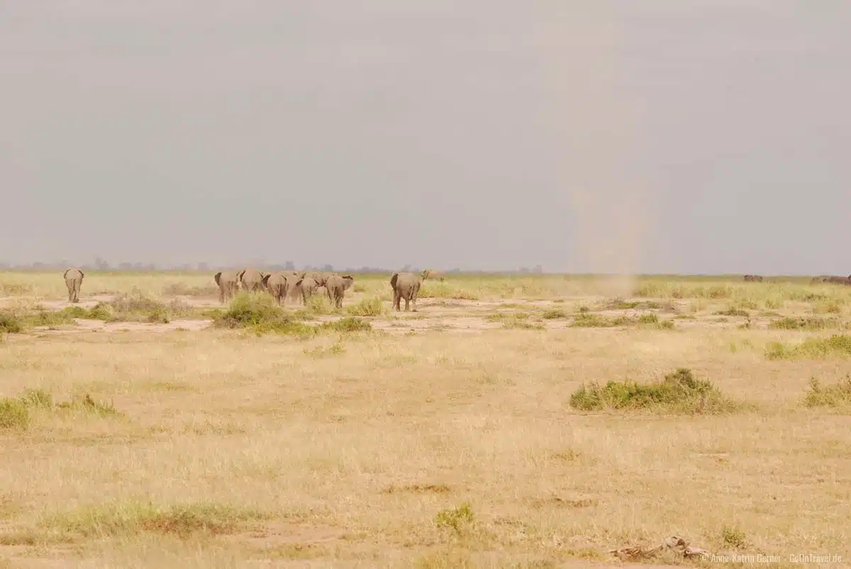 "Dust devil" kommen häufig vor in der Trockenzeit in Amboseli "Dust devil" kommen häufig vor in der Trockenzeit in Amboseli